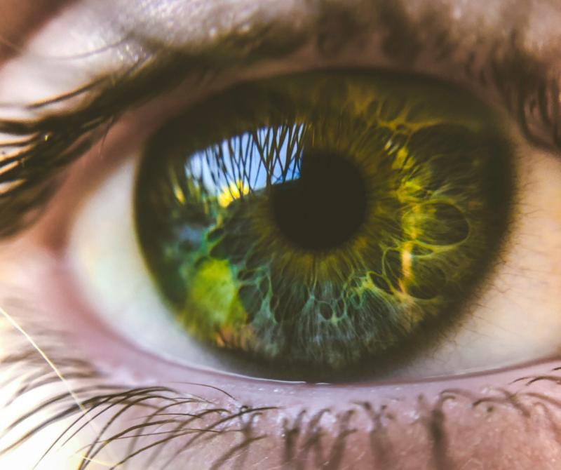 Optiker 1130, Brillengeschäft 1130, Hörgeräte 1130, Hörakustik 1130